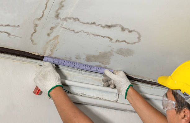 24/7 Emergency Structural Drying experts in Shadyside, OH
