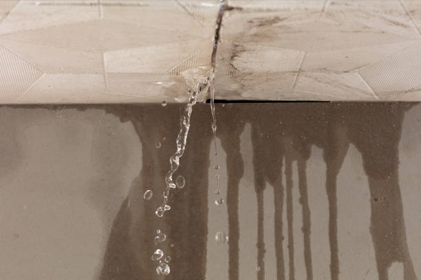 Professional Structural Drying technician working in Shadyside, OH